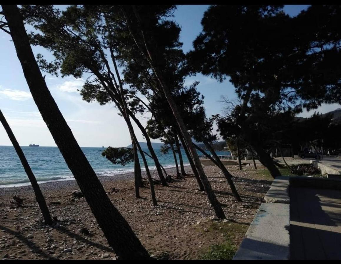 Apartman Javi Daire Bar Dış mekan fotoğraf